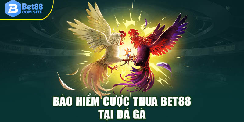 Cách Tham Gia Bảo Hiểm Cược Thua BET88 Dành Cho Hội Viên