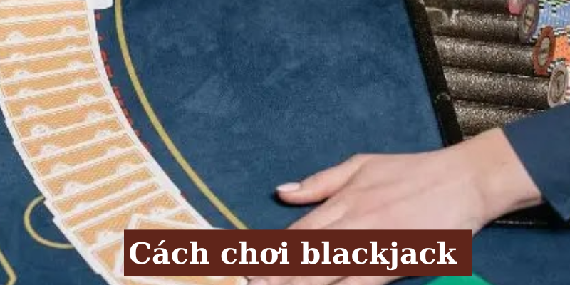 Cách chơi Blackjack cho người chơi mới