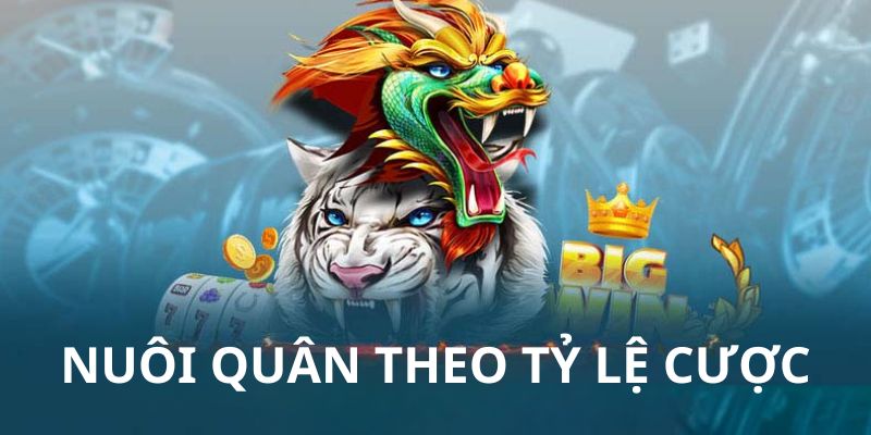 Người chơi thường chọn chiến lược nuôi quân khi tham gia game Rồng Hổ